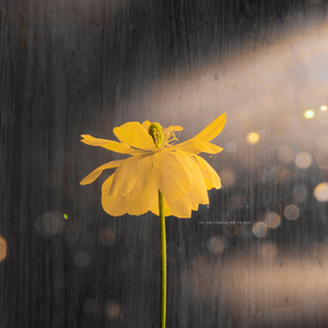 18🈲🈲🈲🈲呦
